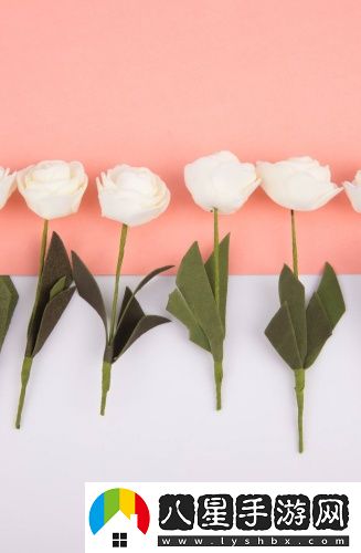 mac923水蜜桃923色號(hào)漢化版